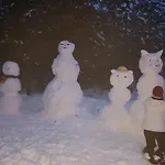 Bosco