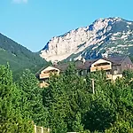 Bosco