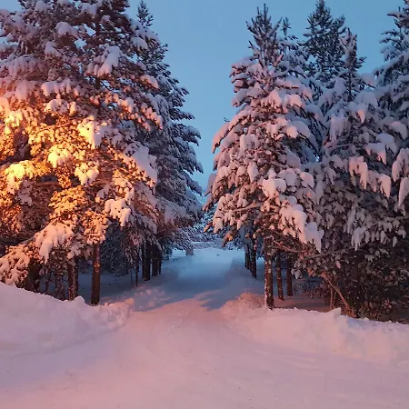 بوسكو * Risovac